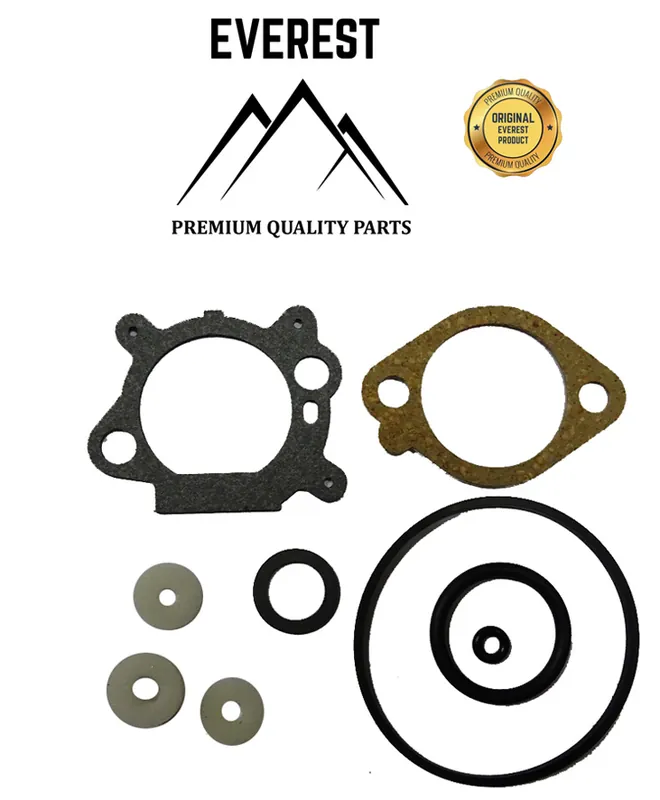 Sofort Bestellen SADA TĚSNĚNÍ BRIGGS&STRATTON QUANTUM EVEREST
