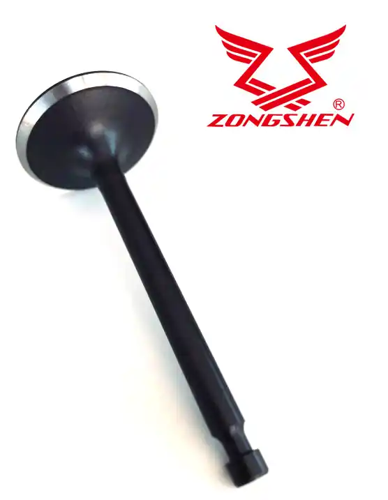 Sací ventil ZONGSHEN XP420 Angebot