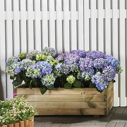 vyvýšený záhon LANITPLAST POTTING8 (S7231) Saisonangebot